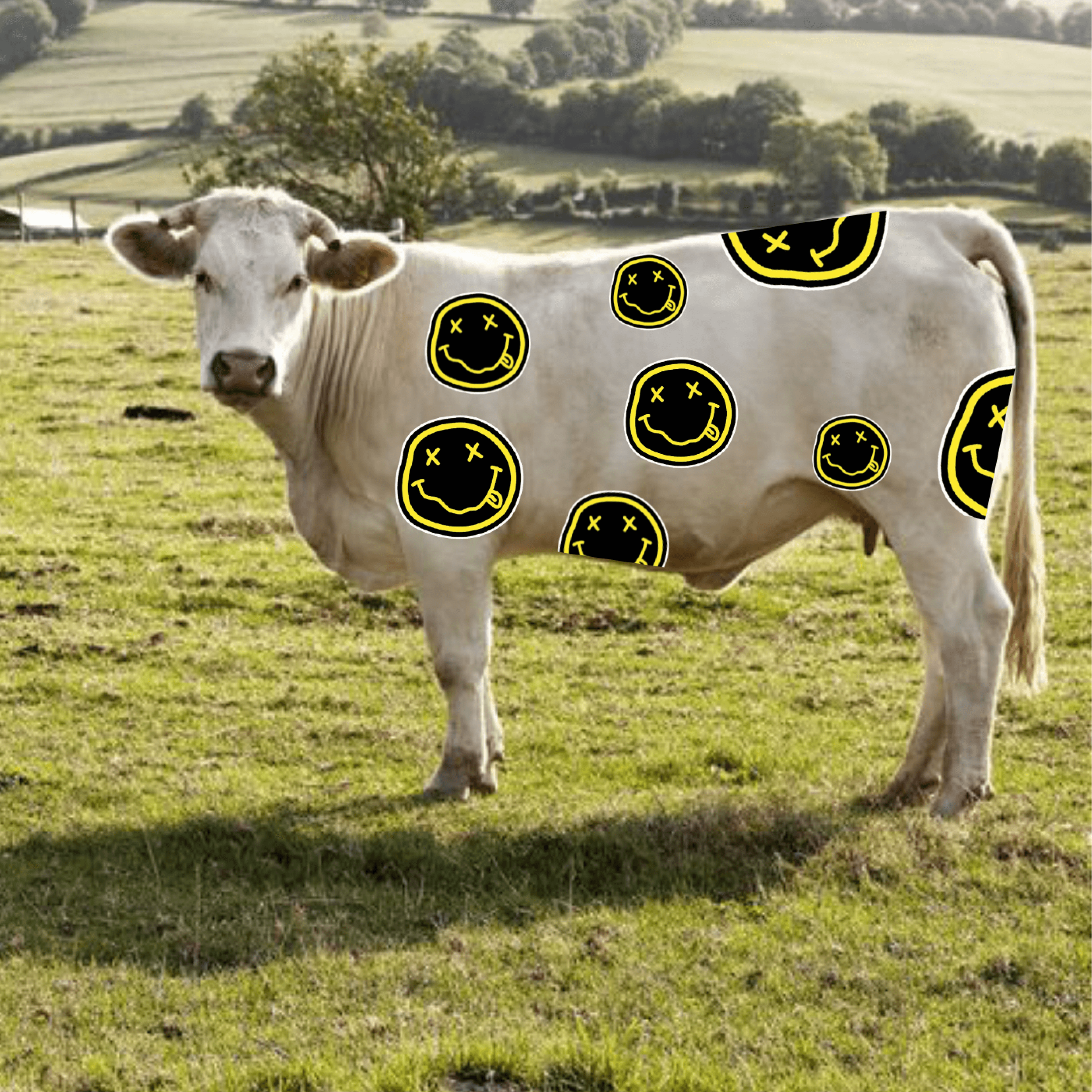 La vache
